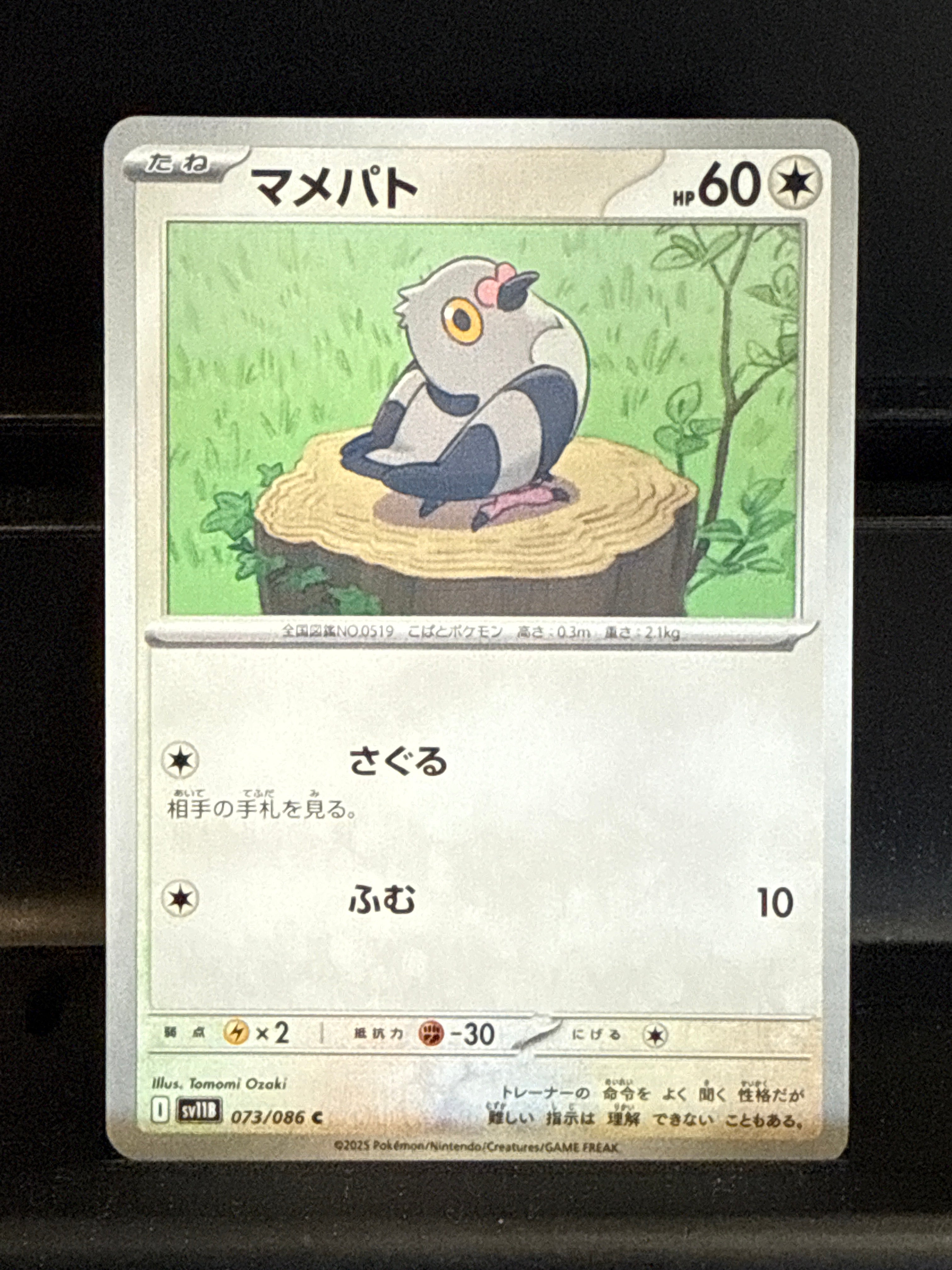 Pokémon Japan TCG: Black Bolt - Singles
