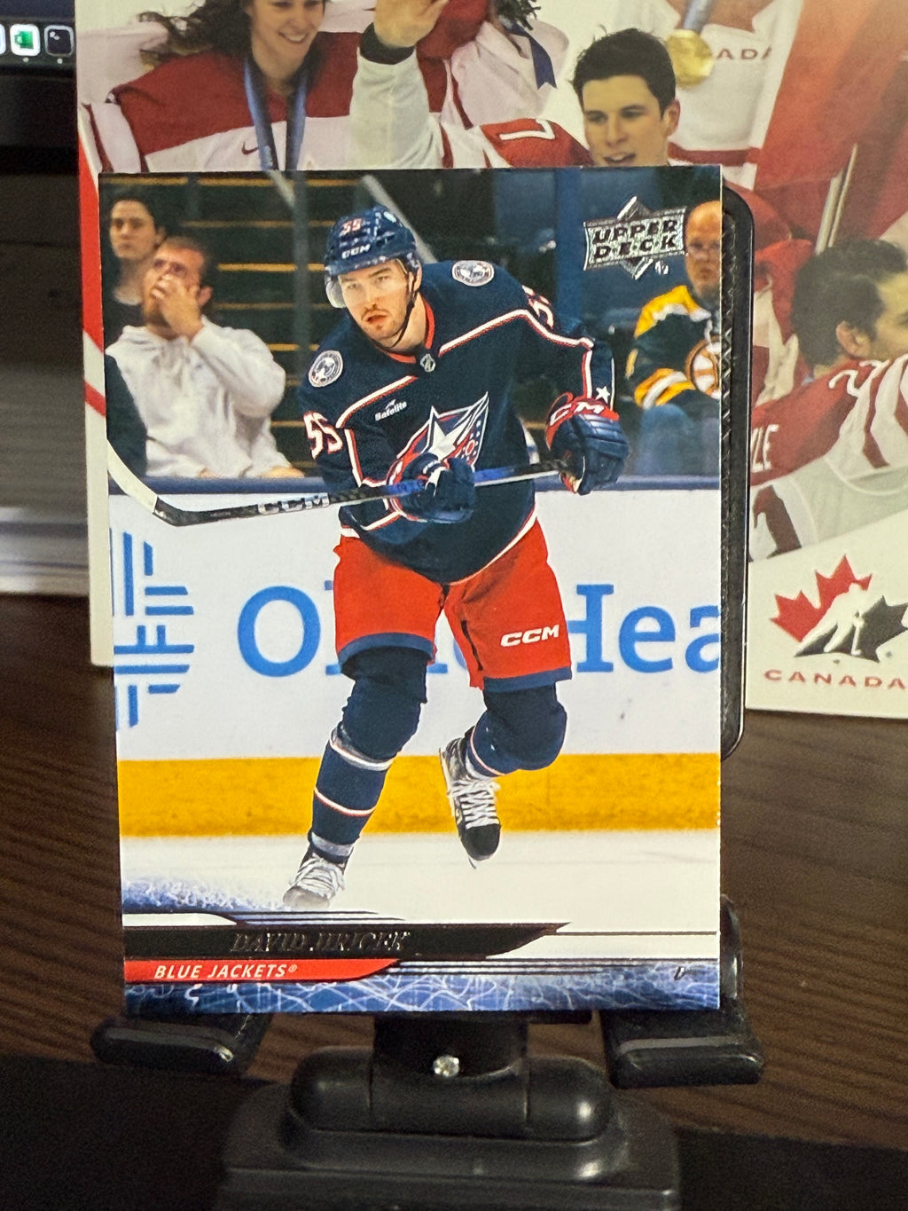 Upper Deck 2024-25 Hockey Series 2 Base Cards #251-450