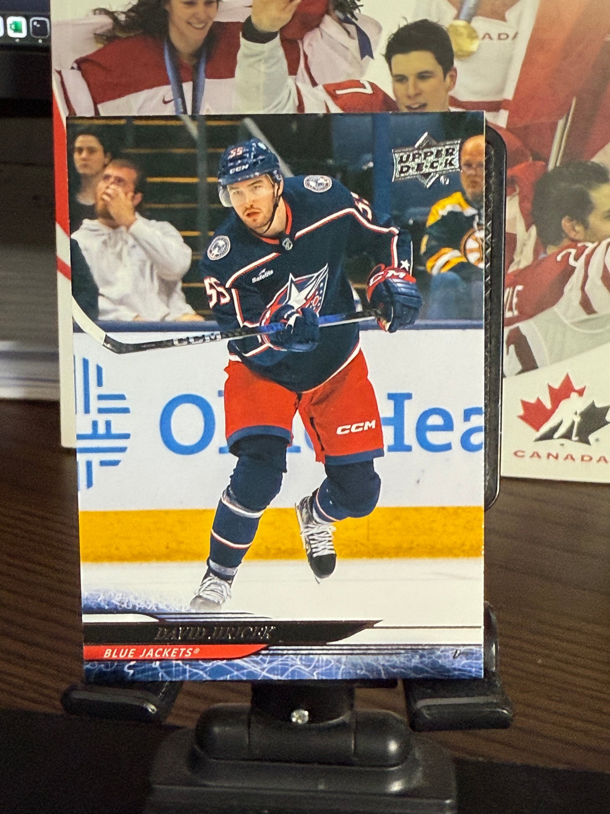 Upper Deck 2024-25 Hockey Series 2 Base Cards #251-450