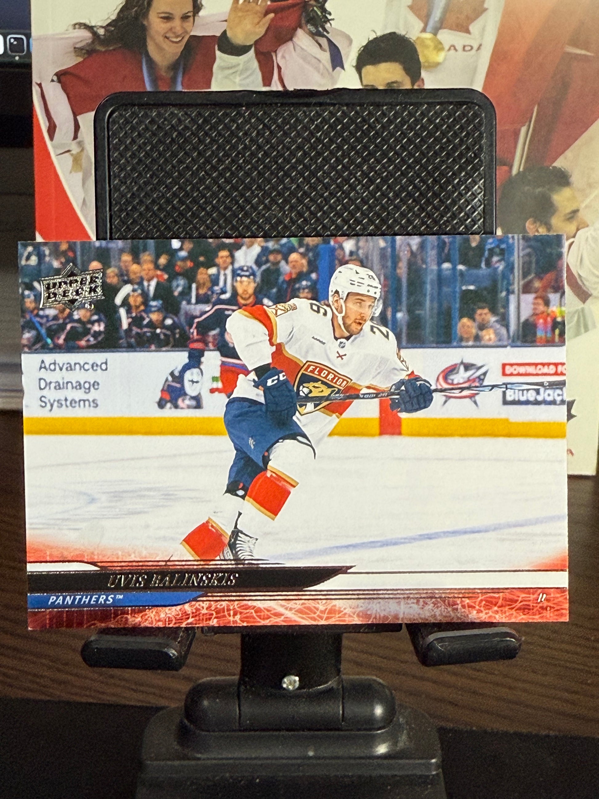 Upper Deck 2024-25 Hockey Series 2 Base Cards #251-450