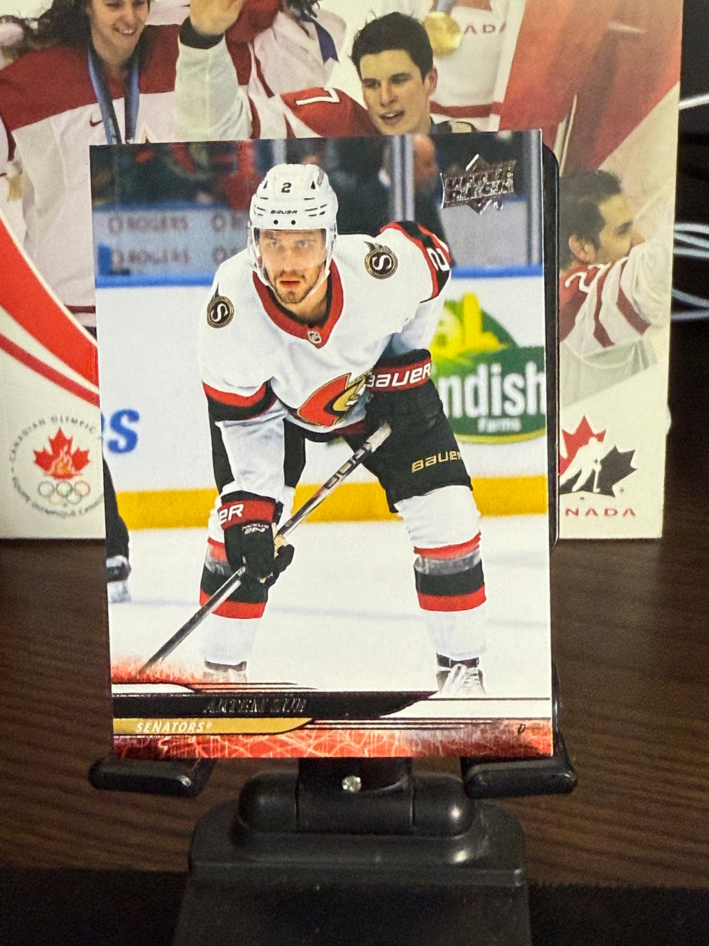 Upper Deck 2024-25 Hockey Series 2 Base Cards #251-450