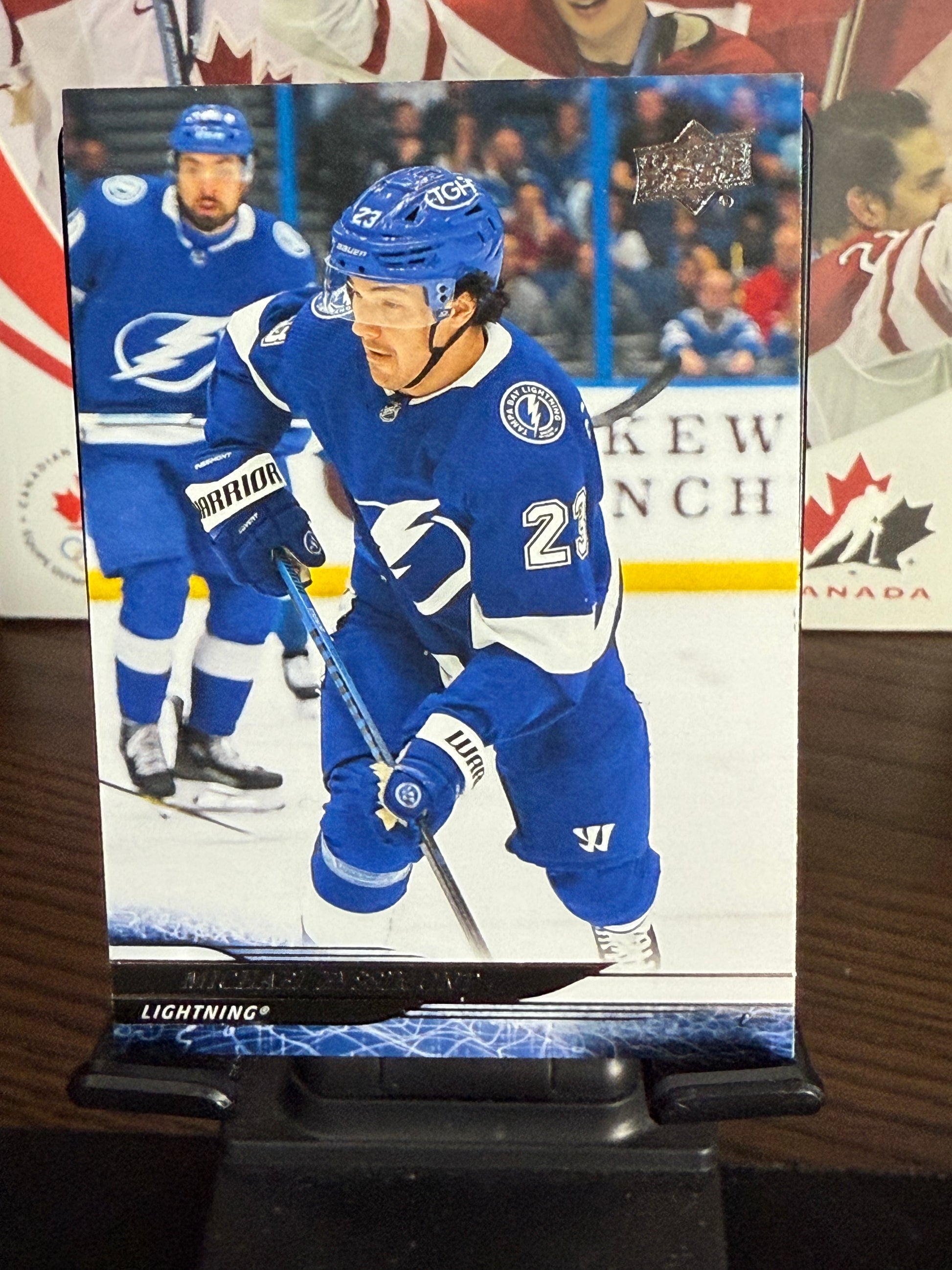 Upper Deck 2024-25 Hockey Series 2 Base Cards #251-450